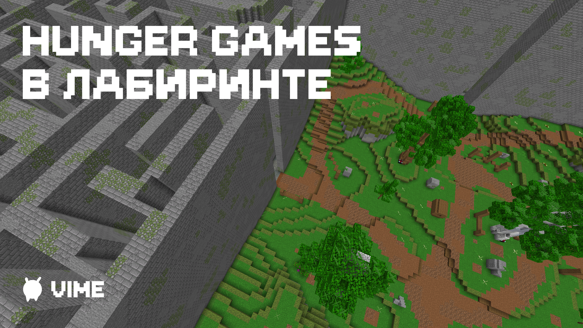 HungerGames в лабиринте